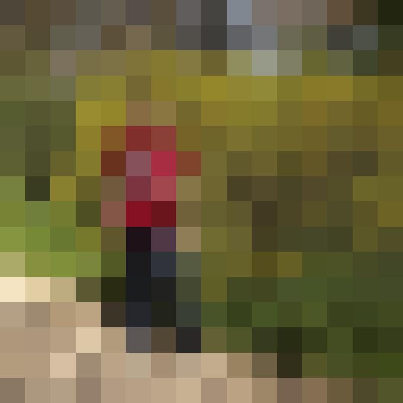 msn268 Profilbild